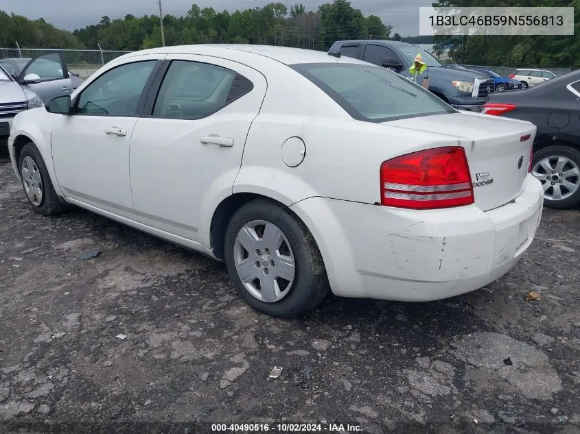 2009 Dodge Avenger Se/Sxt VIN: 1B3LC46B59N556813 Lot: 40490516