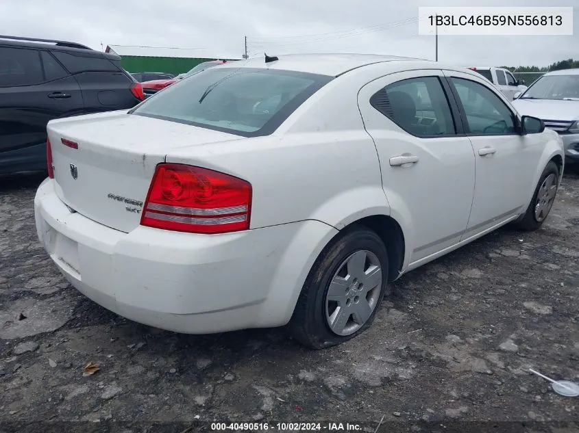 2009 Dodge Avenger Se/Sxt VIN: 1B3LC46B59N556813 Lot: 40490516