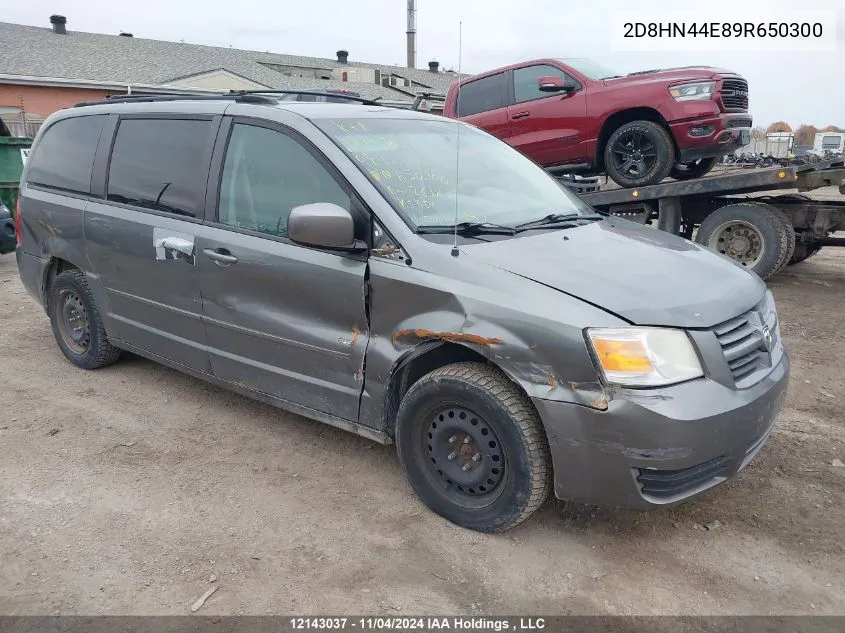 2009 Dodge Grand Caravan Se VIN: 2D8HN44E89R650300 Lot: 12143037