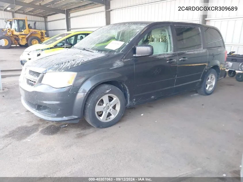 2012 Dodge Grand Caravan Sxt VIN: 2C4RDGCGXCR309689 Lot: 40307063