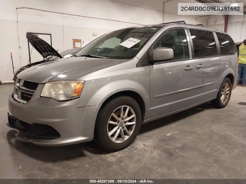 2014 Dodge Grand Caravan Sxt VIN: 2C4RDGCG9ER391692 Lot: 40287389