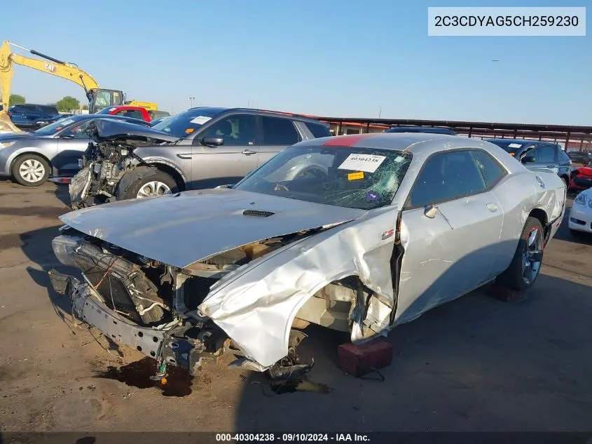 2012 Dodge Challenger Sxt VIN: 2C3CDYAG5CH259230 Lot: 40304238