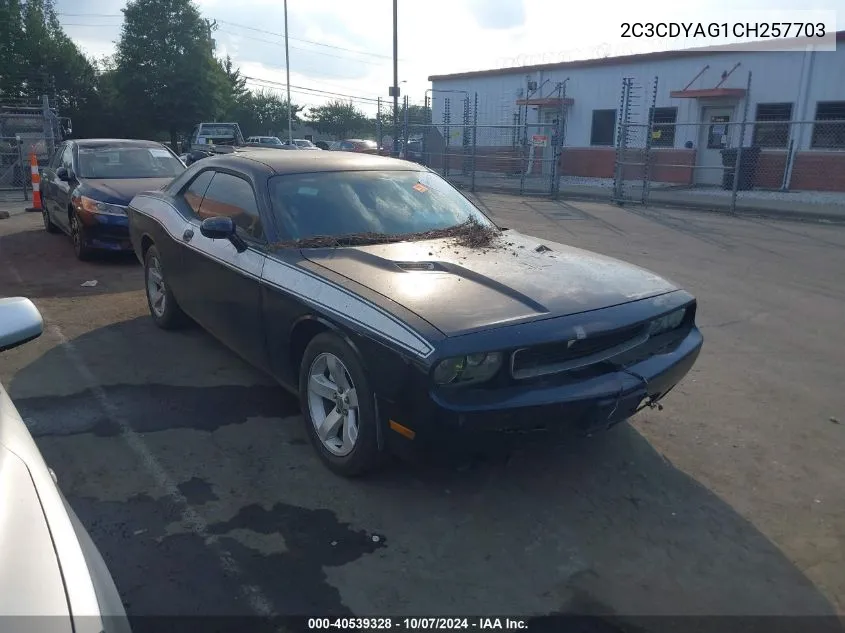 2012 Dodge Challenger Sxt VIN: 2C3CDYAG1CH257703 Lot: 40539328