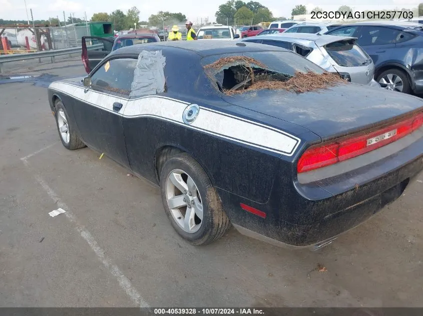 2012 Dodge Challenger Sxt VIN: 2C3CDYAG1CH257703 Lot: 40539328