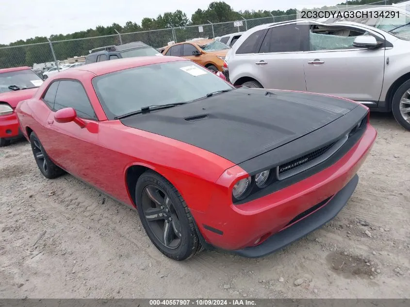 2012 Dodge Challenger Sxt VIN: 2C3CDYAG3CH134291 Lot: 40557907