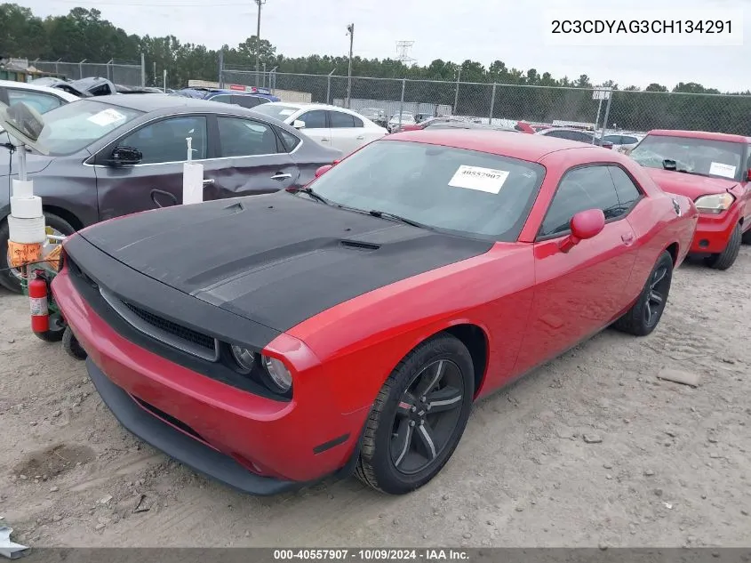 2012 Dodge Challenger Sxt VIN: 2C3CDYAG3CH134291 Lot: 40557907