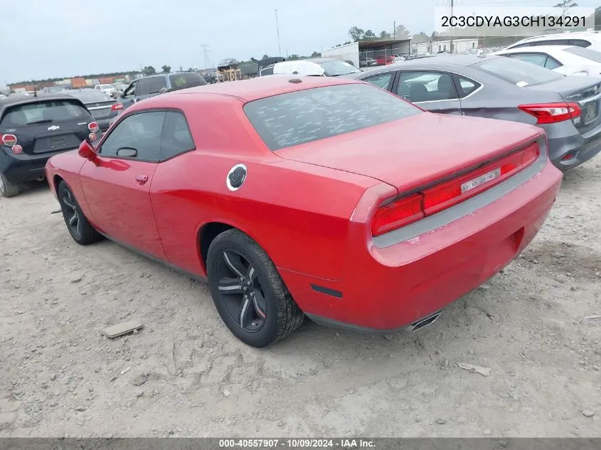 2012 Dodge Challenger Sxt VIN: 2C3CDYAG3CH134291 Lot: 40557907