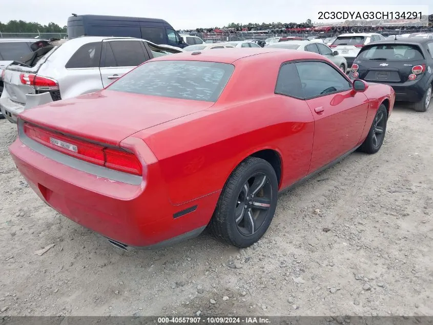 2012 Dodge Challenger Sxt VIN: 2C3CDYAG3CH134291 Lot: 40557907