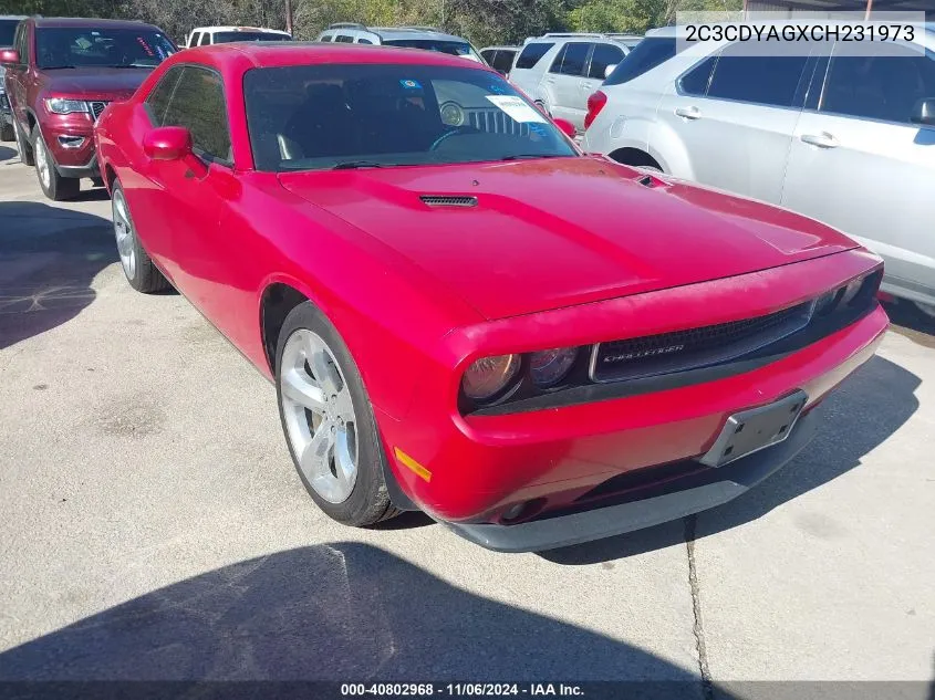 2012 Dodge Challenger Sxt VIN: 2C3CDYAGXCH231973 Lot: 40802968