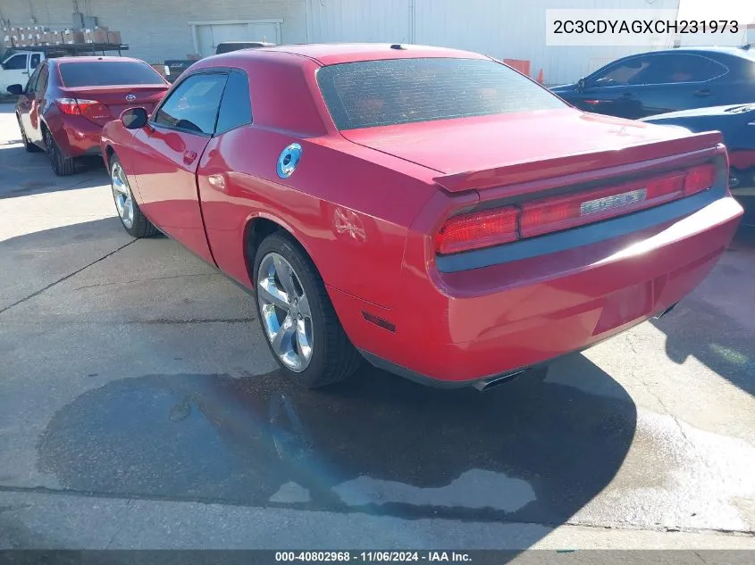 2012 Dodge Challenger Sxt VIN: 2C3CDYAGXCH231973 Lot: 40802968