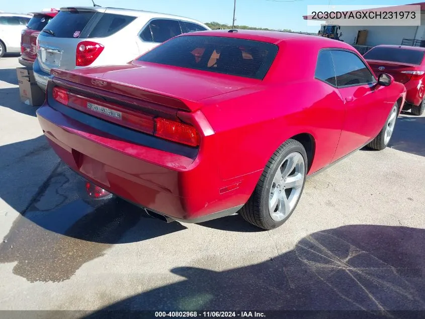 2012 Dodge Challenger Sxt VIN: 2C3CDYAGXCH231973 Lot: 40802968