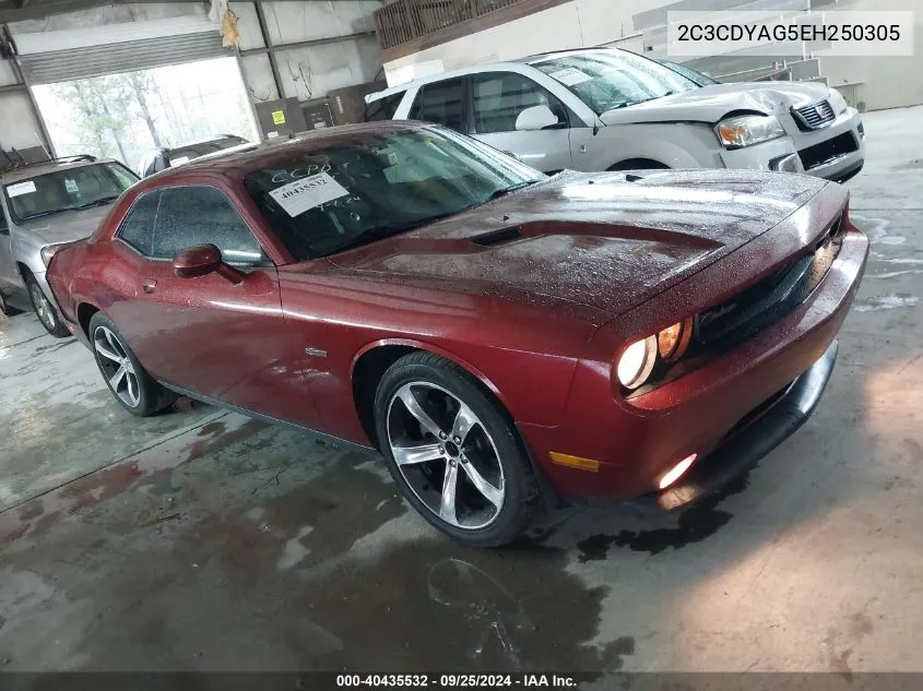 2014 Dodge Challenger Sxt 100Th Anniversary Appearance Group VIN: 2C3CDYAG5EH250305 Lot: 40435532