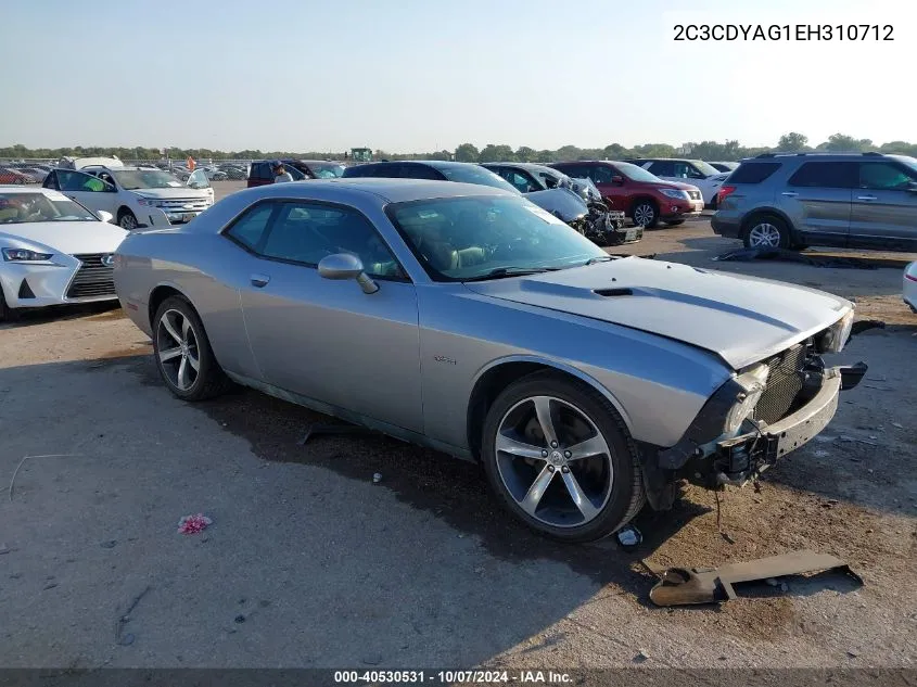 2014 Dodge Challenger Sxt 100Th Anniversary Appearance Group VIN: 2C3CDYAG1EH310712 Lot: 40530531