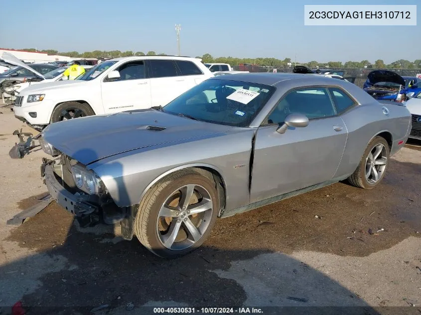 2014 Dodge Challenger Sxt 100Th Anniversary Appearance Group VIN: 2C3CDYAG1EH310712 Lot: 40530531