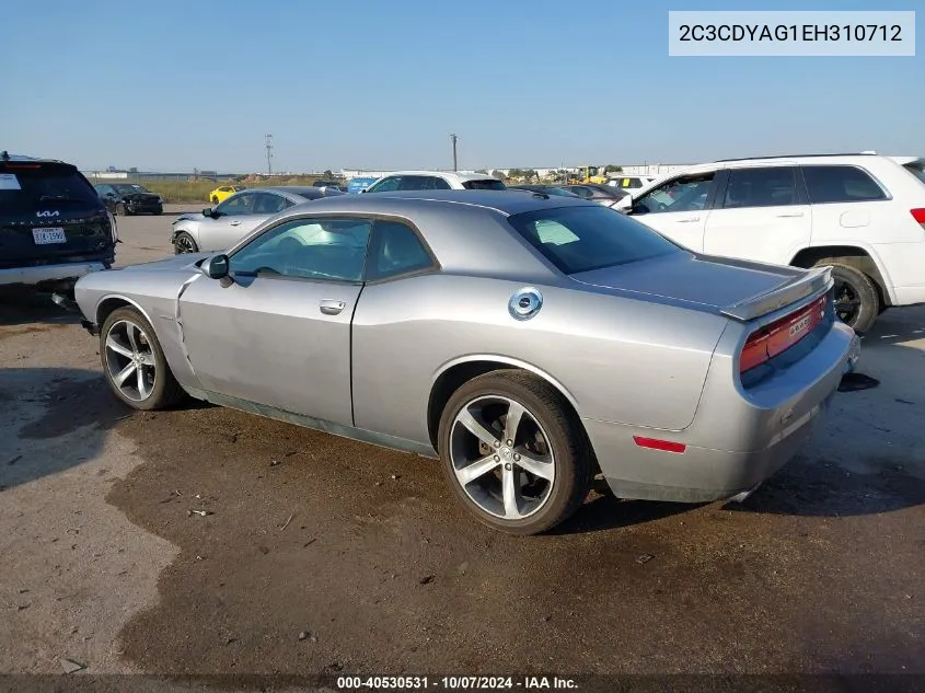 2014 Dodge Challenger Sxt 100Th Anniversary Appearance Group VIN: 2C3CDYAG1EH310712 Lot: 40530531