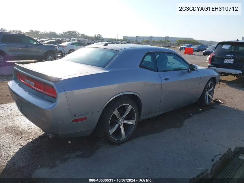 2014 Dodge Challenger Sxt 100Th Anniversary Appearance Group VIN: 2C3CDYAG1EH310712 Lot: 40530531