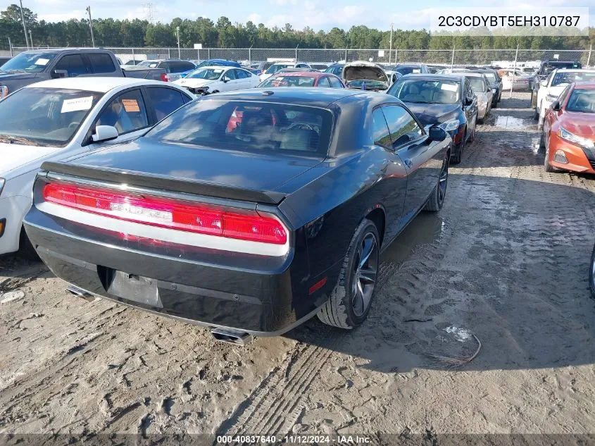 2014 Dodge Challenger R/T 100Th Anniversary Appearance Group VIN: 2C3CDYBT5EH310787 Lot: 40837640