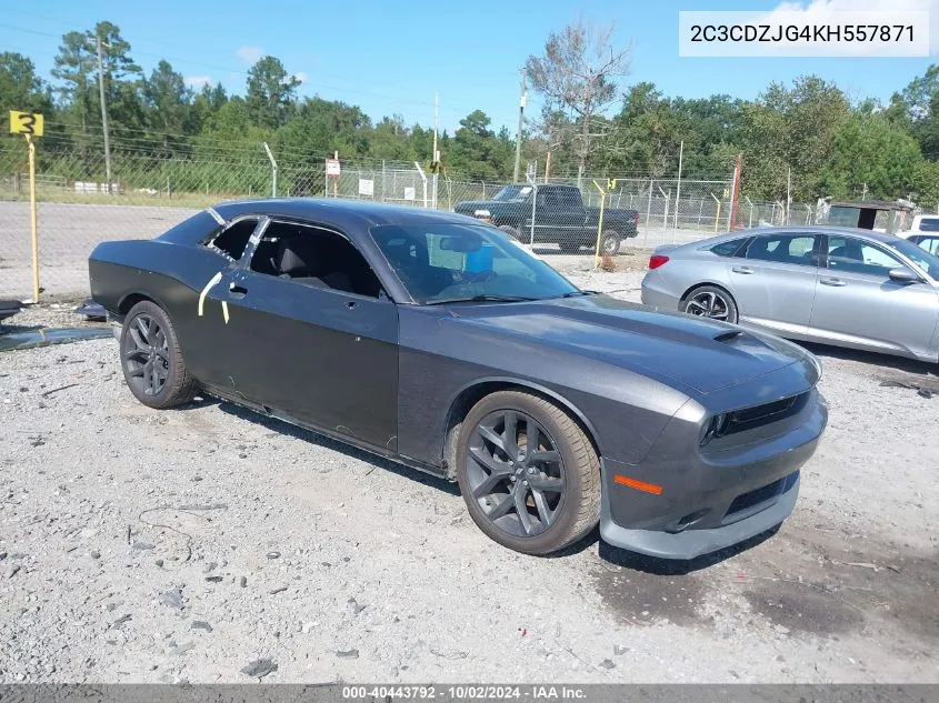 2019 Dodge Challenger Gt VIN: 2C3CDZJG4KH557871 Lot: 40443792