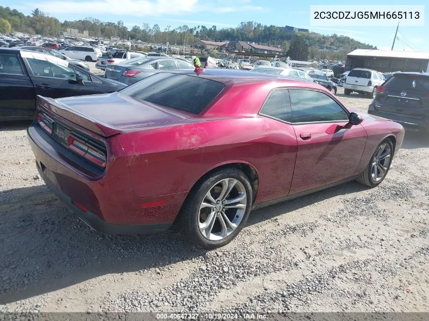 2021 Dodge Challenger Gt VIN: 2C3CDZJG5MH665113 Lot: 40647327