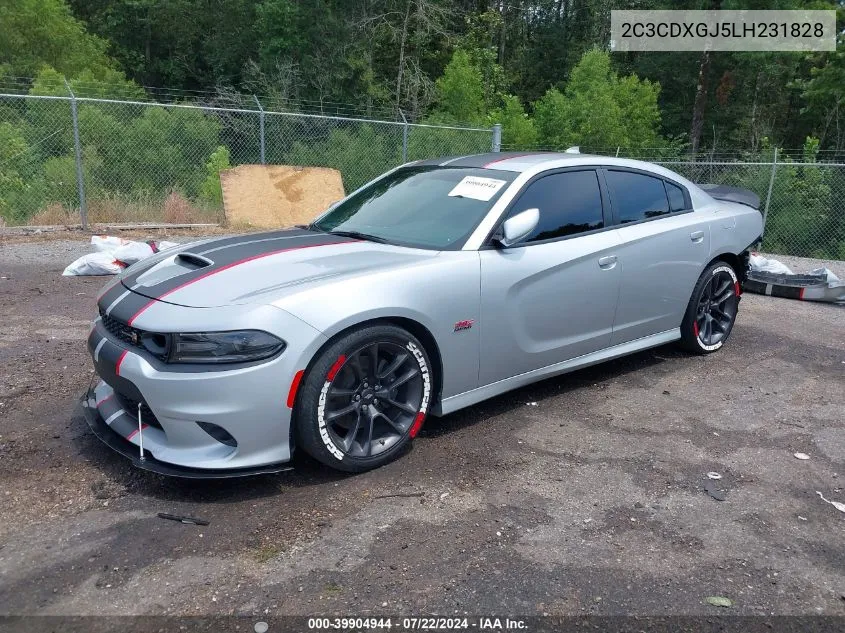 2020 Dodge Charger Scat Pack Rwd VIN: 2C3CDXGJ5LH231828 Lot: 39904944