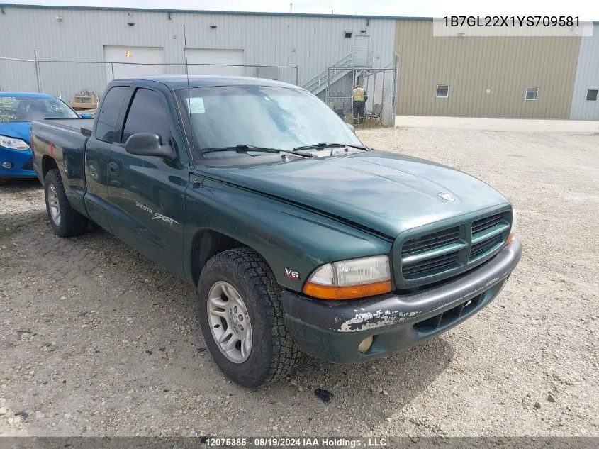 2000 Dodge Dakota VIN: 1B7GL22X1YS709581 Lot: 12075385