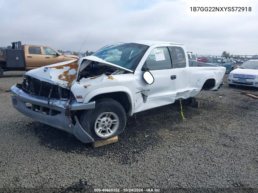 2000 Dodge Dakota Slt/Sport VIN: 1B7GG22NXYS572918 Lot: 40665352