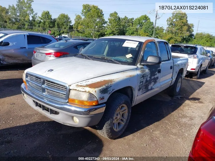 2001 Dodge Dakota Slt/Sport VIN: 1B7GL2AX01S224081 Lot: 40227343