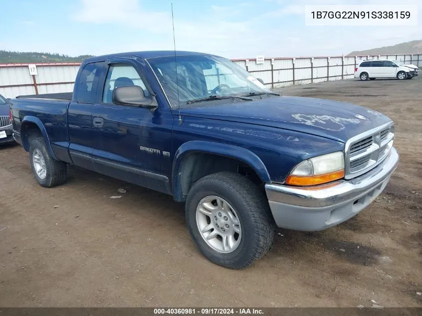 2001 Dodge Dakota Slt/Sport VIN: 1B7GG22N91S338159 Lot: 40360981