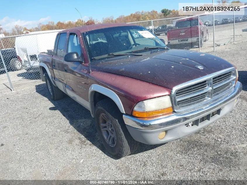 2001 Dodge Dakota Slt/Sport VIN: 1B7HL2AX01S324265 Lot: 40740790