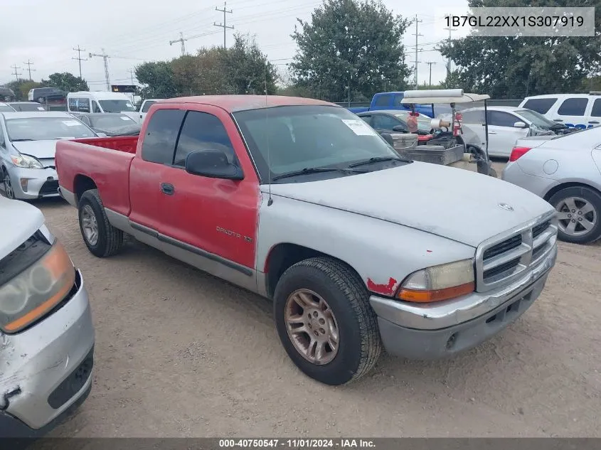 2001 Dodge Dakota Slt/Sport VIN: 1B7GL22XX1S307919 Lot: 40750547