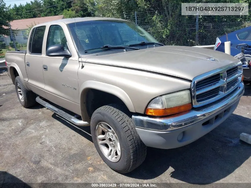 2002 Dodge Dakota Slt VIN: 1B7HG48X92S713297 Lot: 39833429