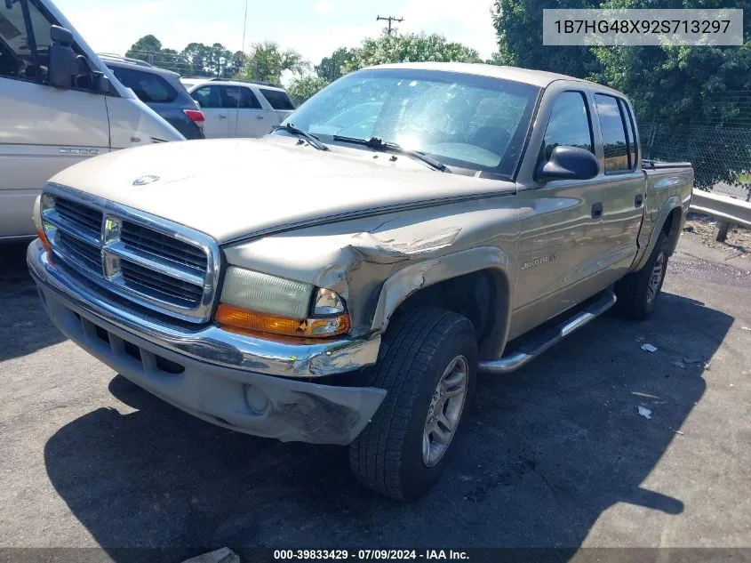 2002 Dodge Dakota Slt VIN: 1B7HG48X92S713297 Lot: 39833429