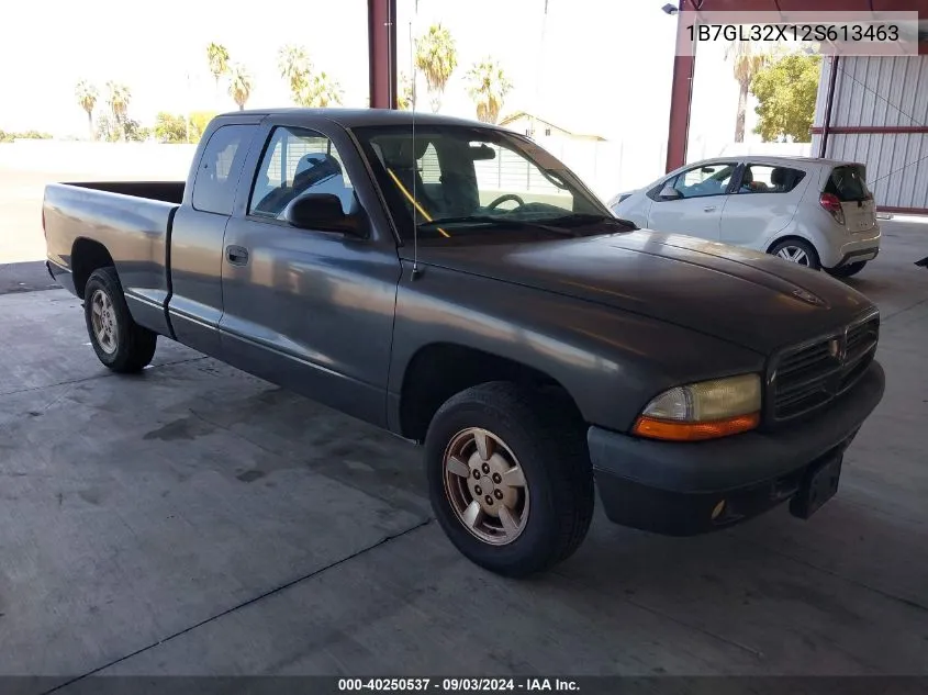 2002 Dodge Dakota Sport VIN: 1B7GL32X12S613463 Lot: 40250537