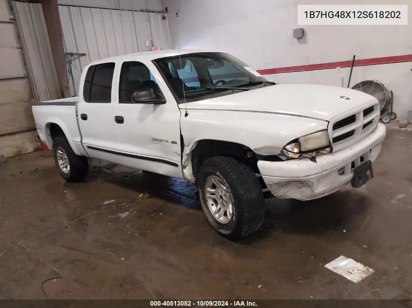 2002 Dodge Dakota Slt VIN: 1B7HG48X12S618202 Lot: 40513052