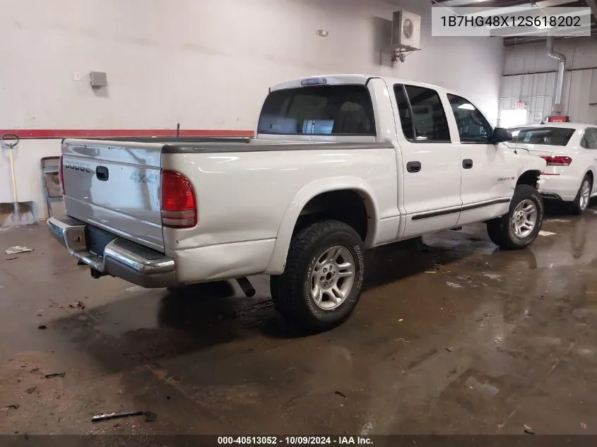 2002 Dodge Dakota Slt VIN: 1B7HG48X12S618202 Lot: 40513052