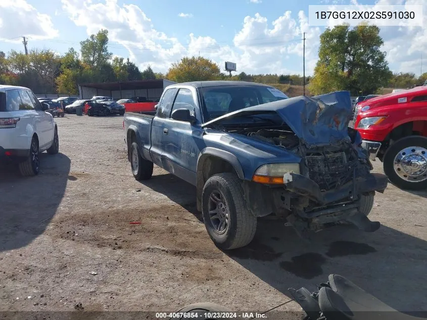 2002 Dodge Dakota VIN: 1B7GG12X02S591030 Lot: 40676854