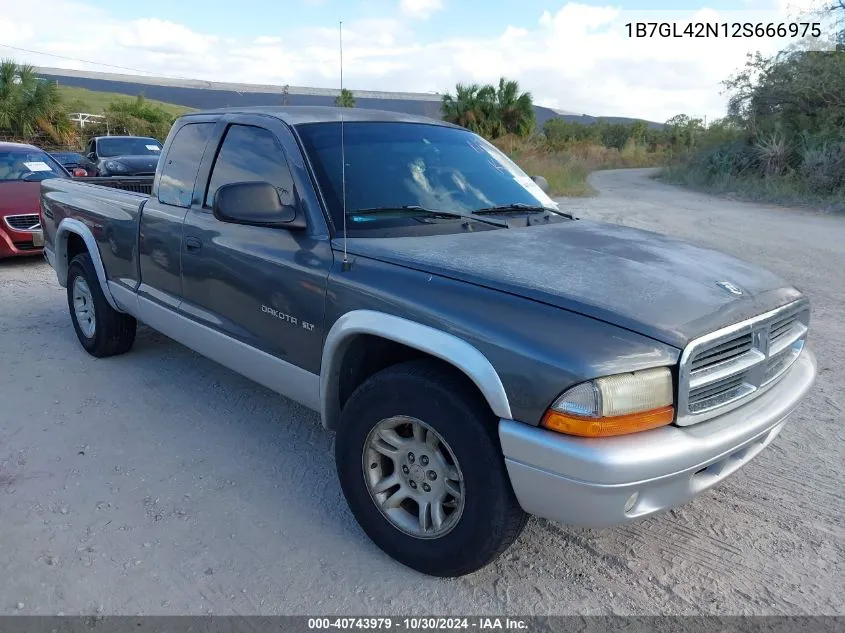 2002 Dodge Dakota Slt VIN: 1B7GL42N12S666975 Lot: 40743979