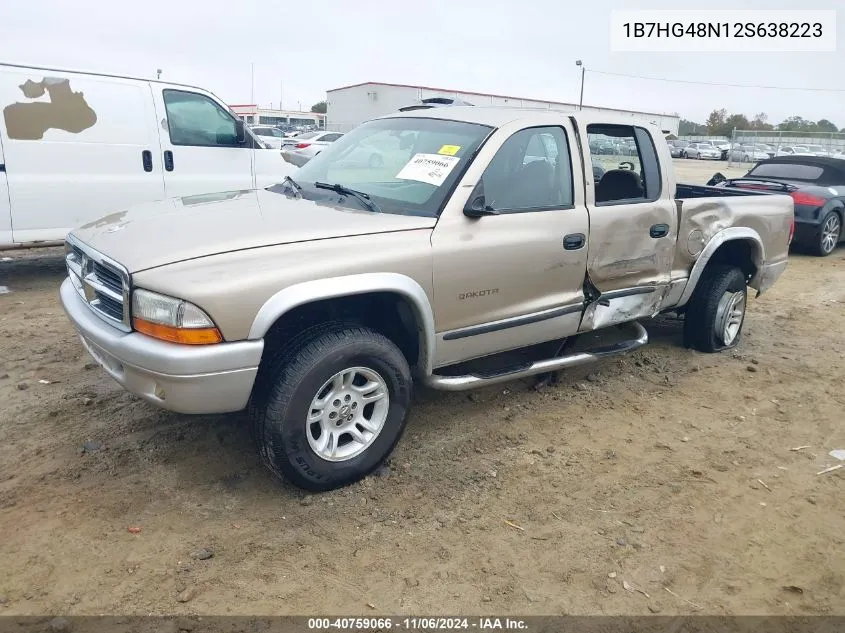 2002 Dodge Dakota Slt VIN: 1B7HG48N12S638223 Lot: 40759066