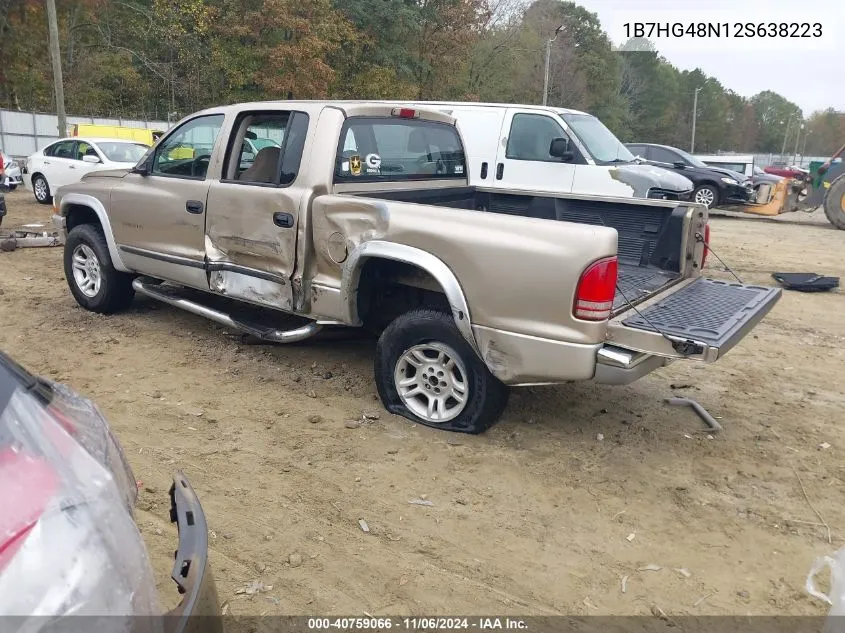 2002 Dodge Dakota Slt VIN: 1B7HG48N12S638223 Lot: 40759066