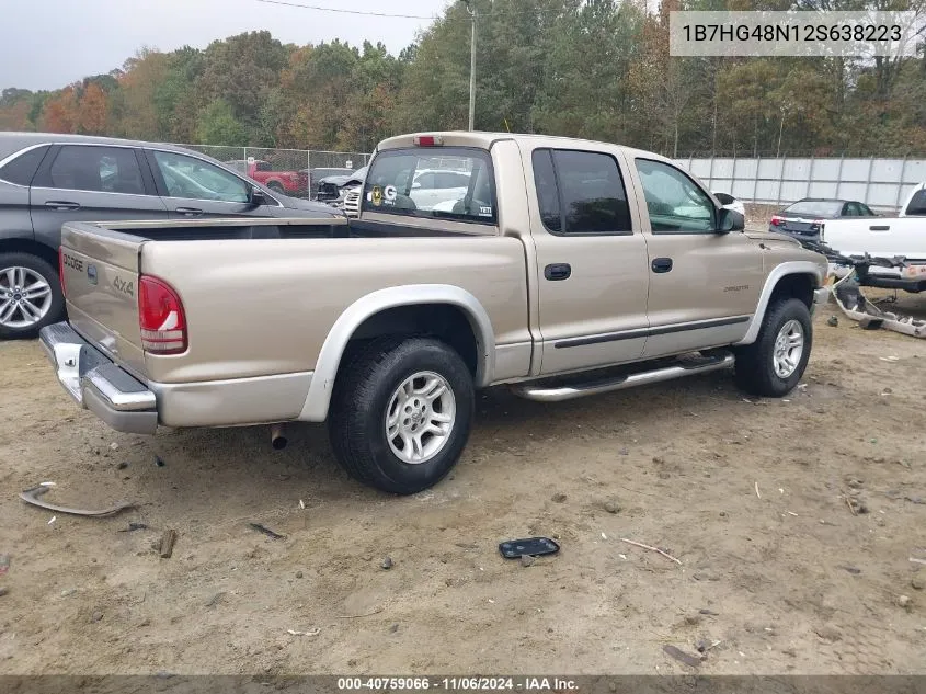 2002 Dodge Dakota Slt VIN: 1B7HG48N12S638223 Lot: 40759066