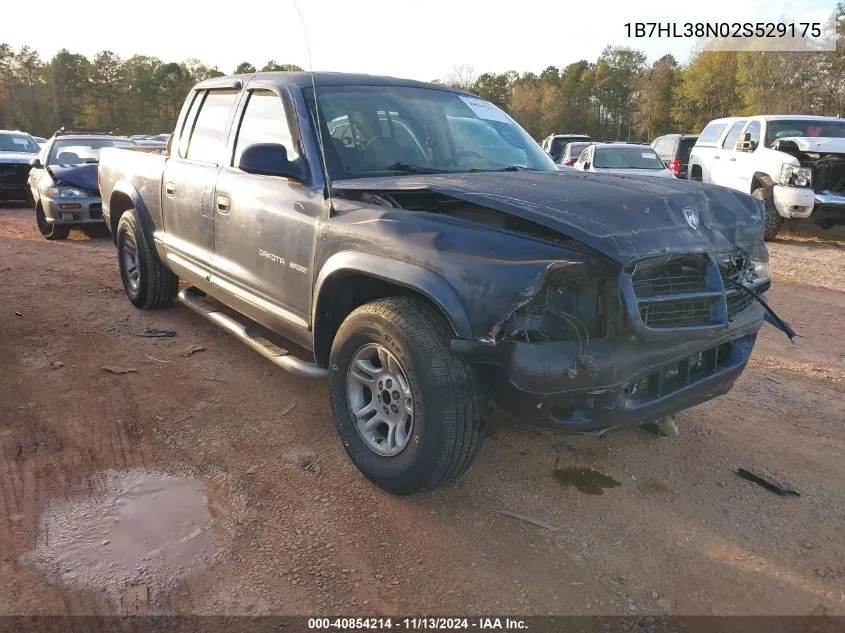 2002 Dodge Dakota Sport VIN: 1B7HL38N02S529175 Lot: 40854214