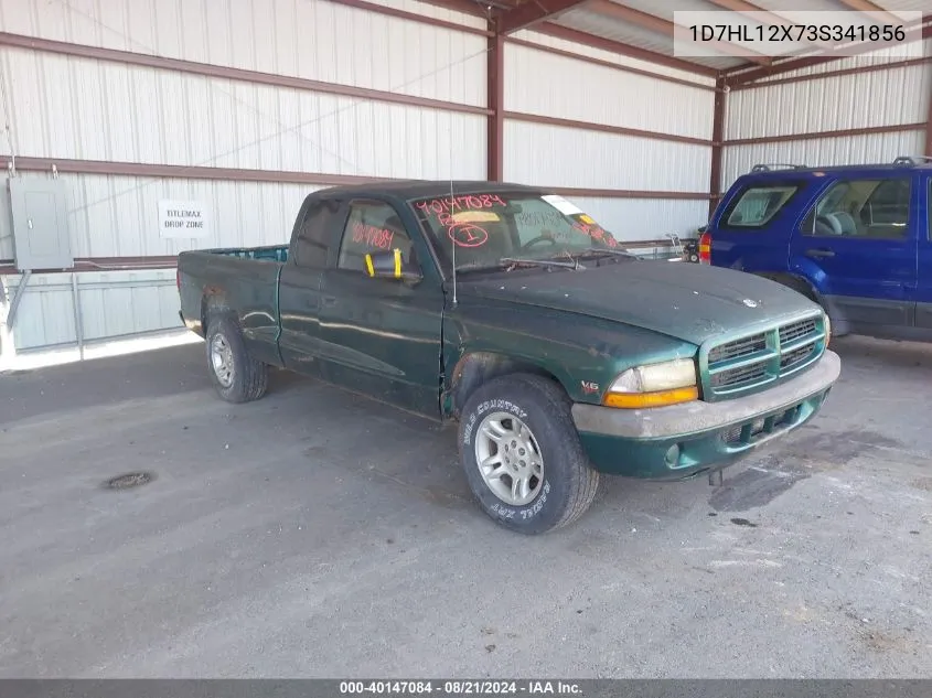 2003 Dodge Dakota VIN: 1D7HL12X73S341856 Lot: 40147084