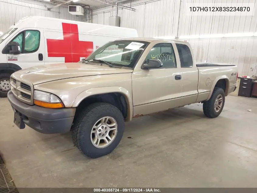 2003 Dodge Dakota VIN: 1D7HG12X83S234870 Lot: 40355724