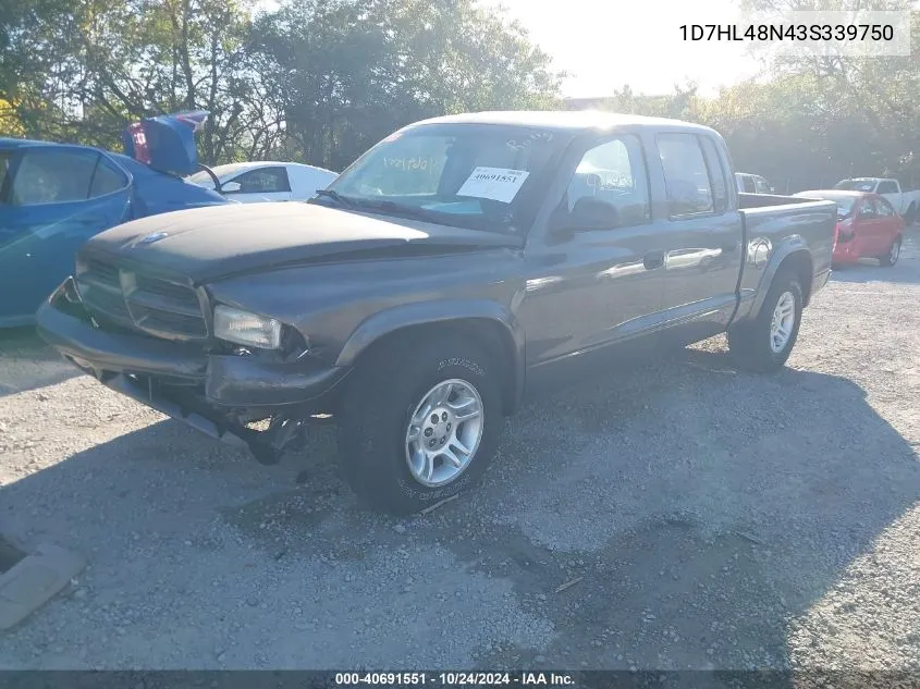 2003 Dodge Dakota Slt VIN: 1D7HL48N43S339750 Lot: 40691551