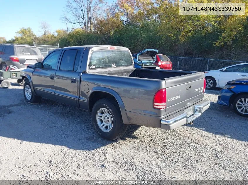 2003 Dodge Dakota Slt VIN: 1D7HL48N43S339750 Lot: 40691551