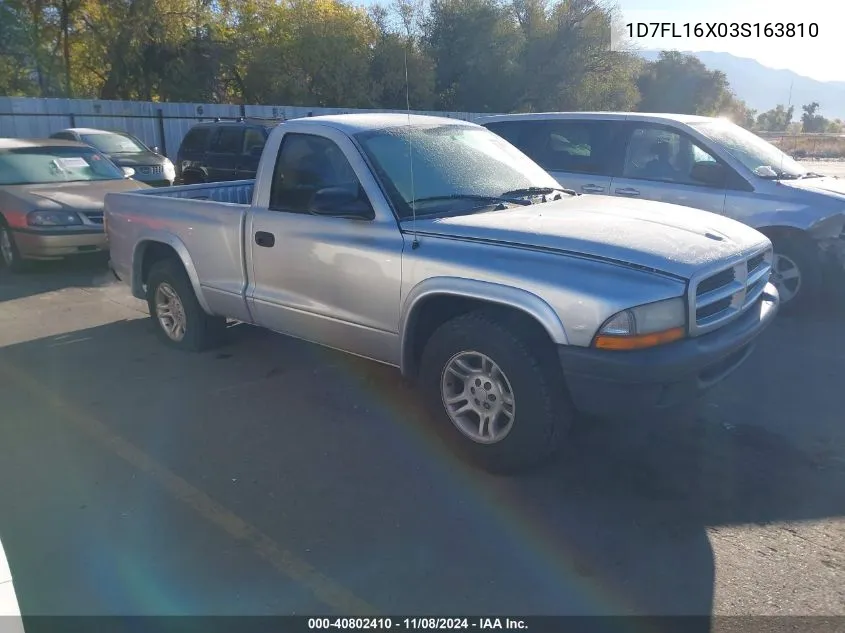 2003 Dodge Dakota VIN: 1D7FL16X03S163810 Lot: 40802410