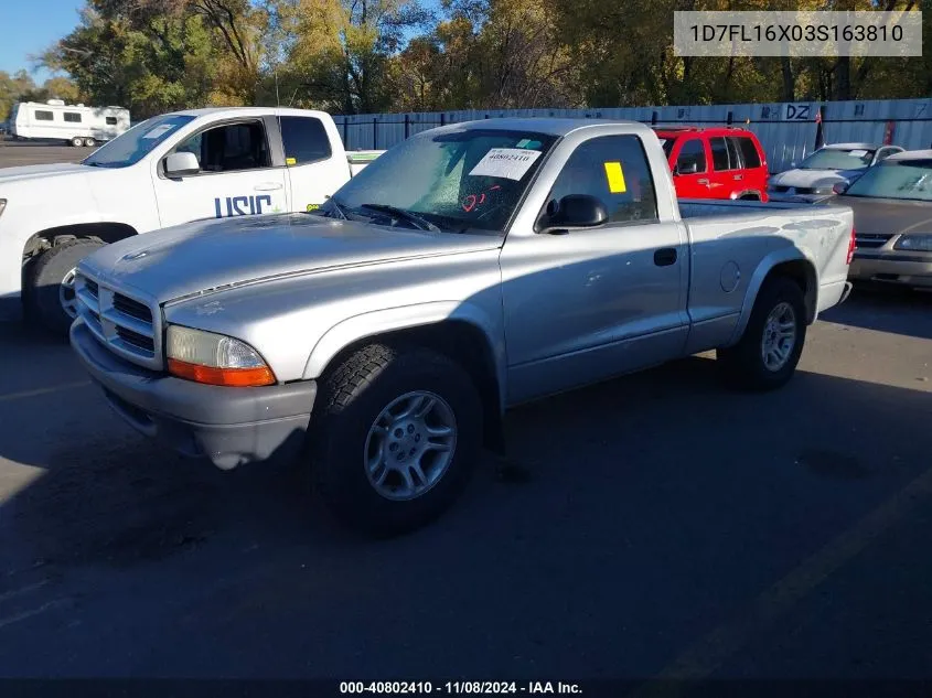 2003 Dodge Dakota VIN: 1D7FL16X03S163810 Lot: 40802410