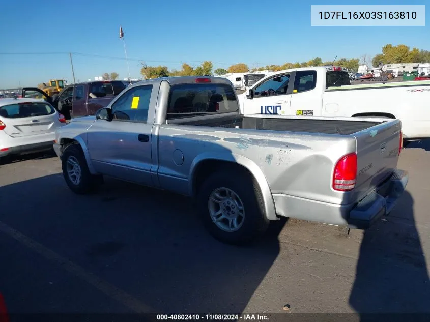 2003 Dodge Dakota VIN: 1D7FL16X03S163810 Lot: 40802410