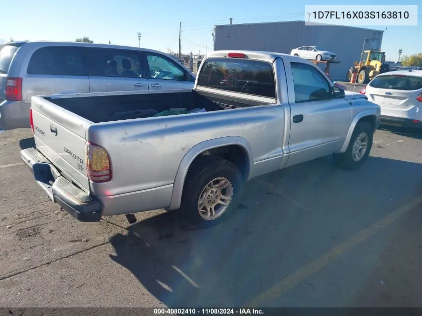 2003 Dodge Dakota VIN: 1D7FL16X03S163810 Lot: 40802410