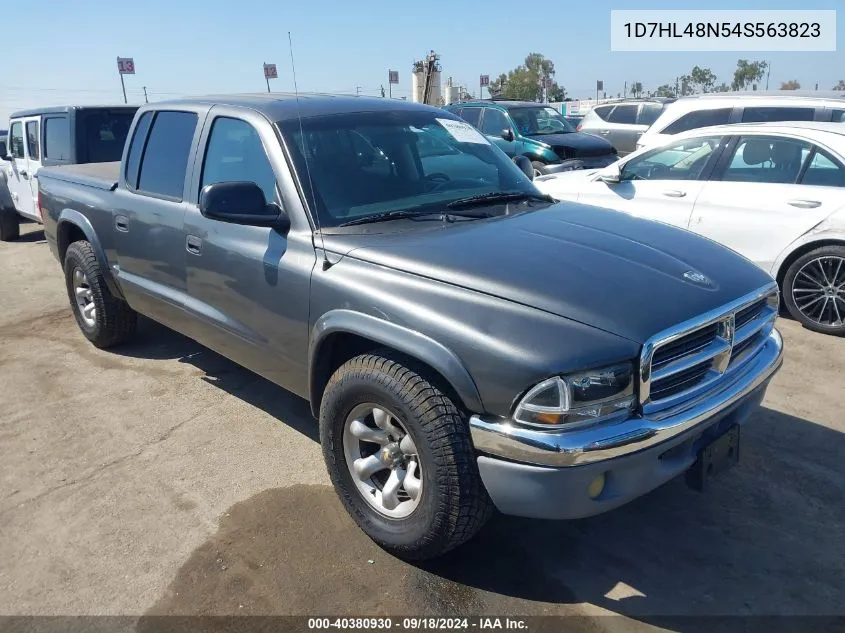 2004 Dodge Dakota Slt VIN: 1D7HL48N54S563823 Lot: 40380930